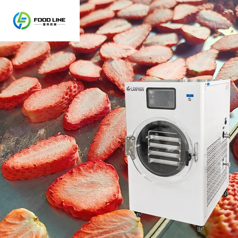 4kg 6kg Small Home Meat Vegetable Coffee Milk Fruit Food Vacuum Freeze Drying Freeze Dryer Lyophilizer Machine US Stock