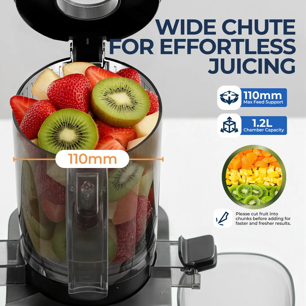 Whole Fruit Masticating Juicer Machine, Powerful Cold Press Extractor for Home