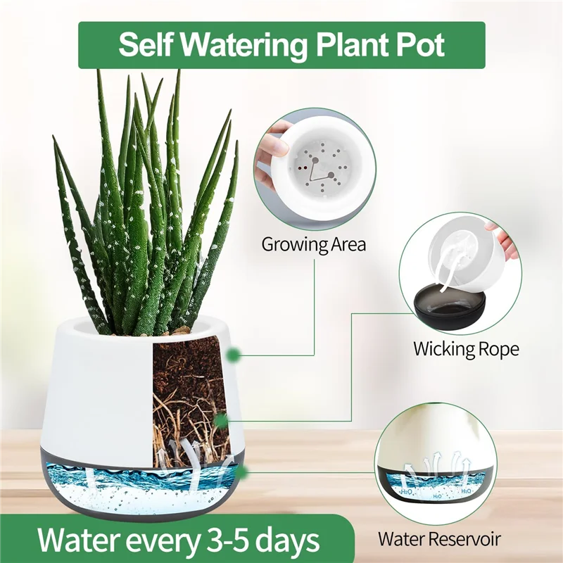 

ABGE-Succulent Pots 3 Inch Self Watering Plant Pot Cactus Planter Pots With Drainage For All House Plants 6Pcs 6Piece