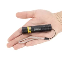 Mini lampe torche UV LED 365nm rechargeable par USB pour la détection de taches d'animaux, fuites, minerais, argent et scorpions 5