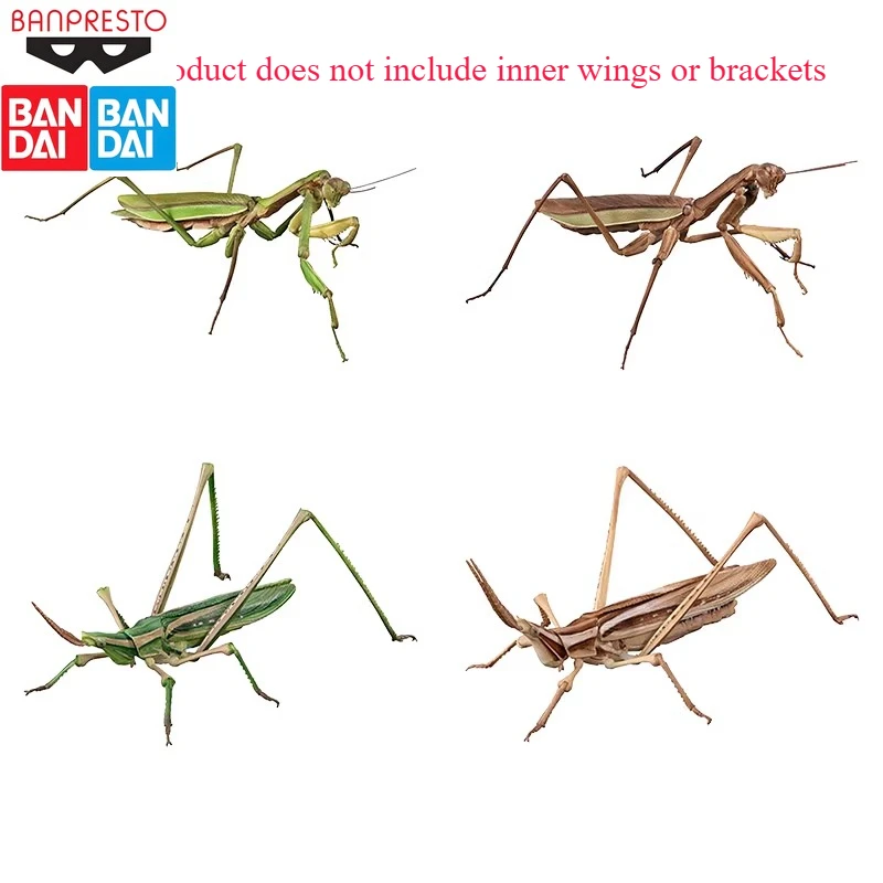 

In Stock BANDAI Original Biological Illustration Mantis Sword and Horn Locust Simulated Insects Can Make Model Holiday Gifts