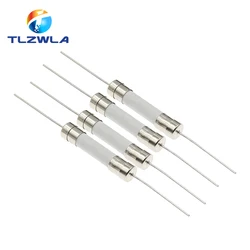 10PCS 6*30mm Ceramic Fuse Fast Slow Blow Tube Fuse With a Pin 6X30MM 250V 8A 10A 15A 20A 25A 30A