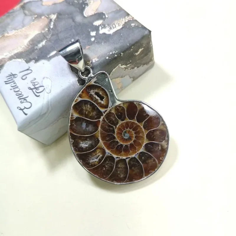 Fashionable And Exquisite New Imitation Conch Fossil Pendant (With Necklace) For Men And Women Retro Style Jewelry Accessories