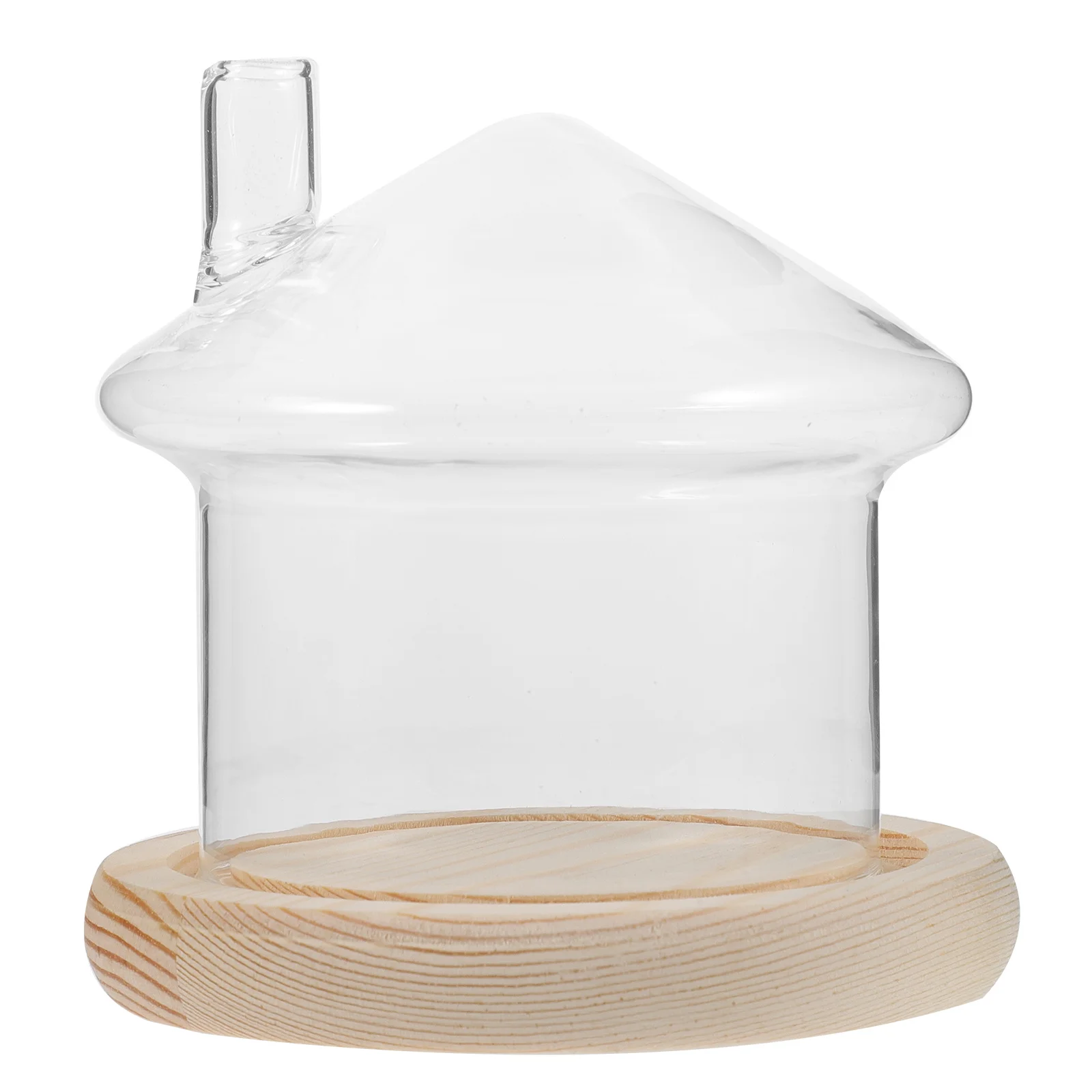 

House Shape Preserved Flower Cover Delicate Glass Dome for Desktop Decoration Clear Display Center Christmas Party Adornment