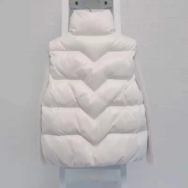 Gilet leggero in cotone piumino primaverile giacche 2024 Wasitcoats caldi coreani autunno con cappuccio lucido senza maniche parka donna