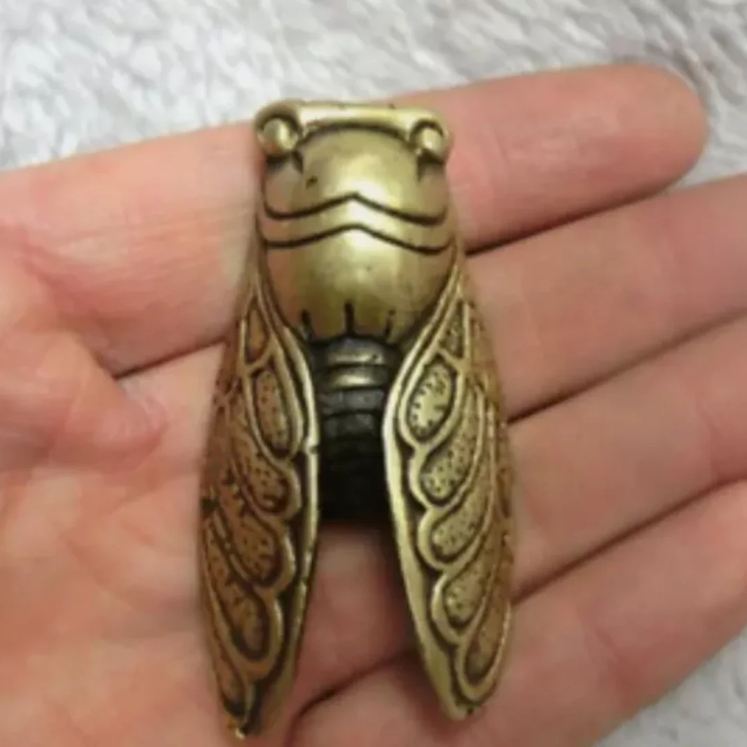 

Китайская бронзовая резьба Little Cicada, твердая медь