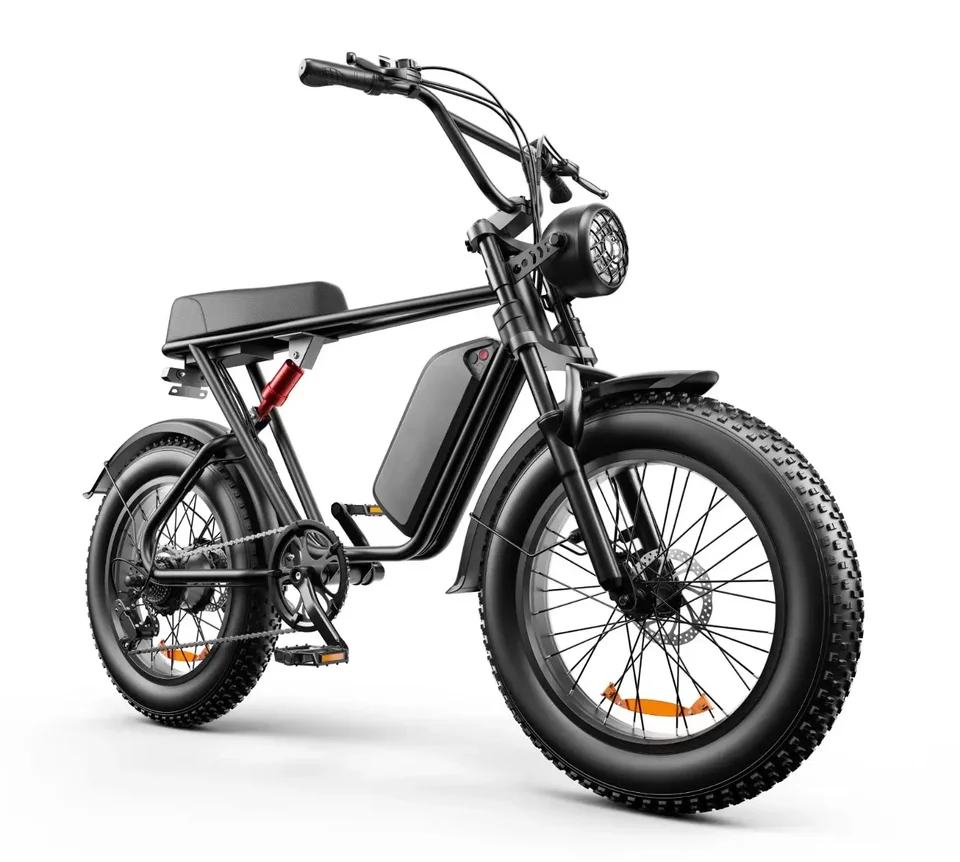 Electric bike C91 powerful 2000w dual motor 48v 20ah lithium battery Electric Bicycle 20 inch fat tire mountain off-road E-bike image 7