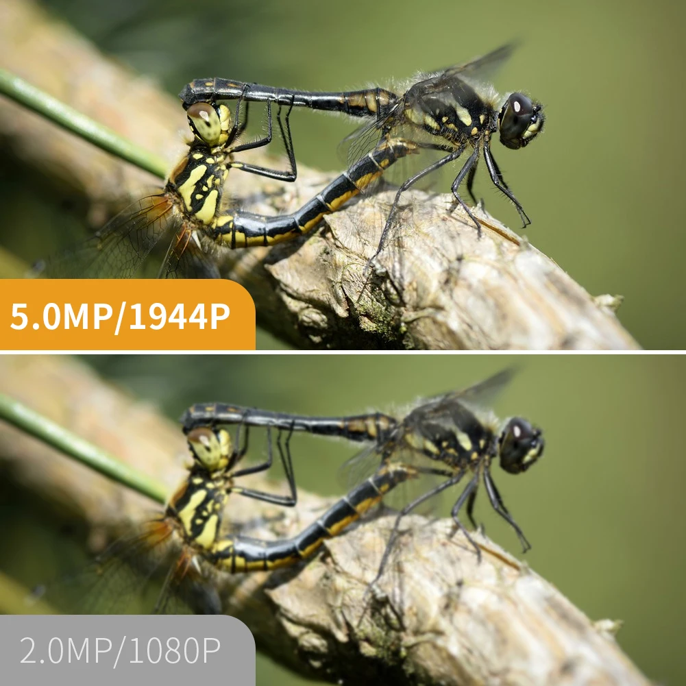 5MP Auto Focus 12mm 1944P 1/2/3.5/5m 3 in 1 Hard Cable Borescope Inspection Camera for Smartphone PC Endoscope Camera