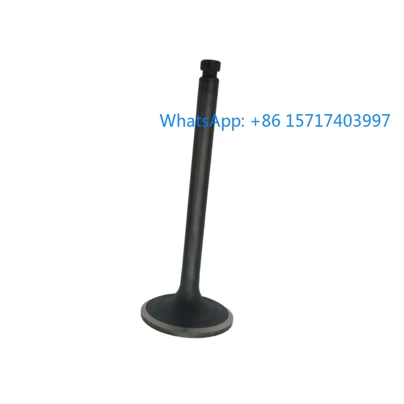

Marine engine parts 119593-11110 4LHA 6LYA 4LH engine valve 4LHA-S-TP 6LYA-S-TP