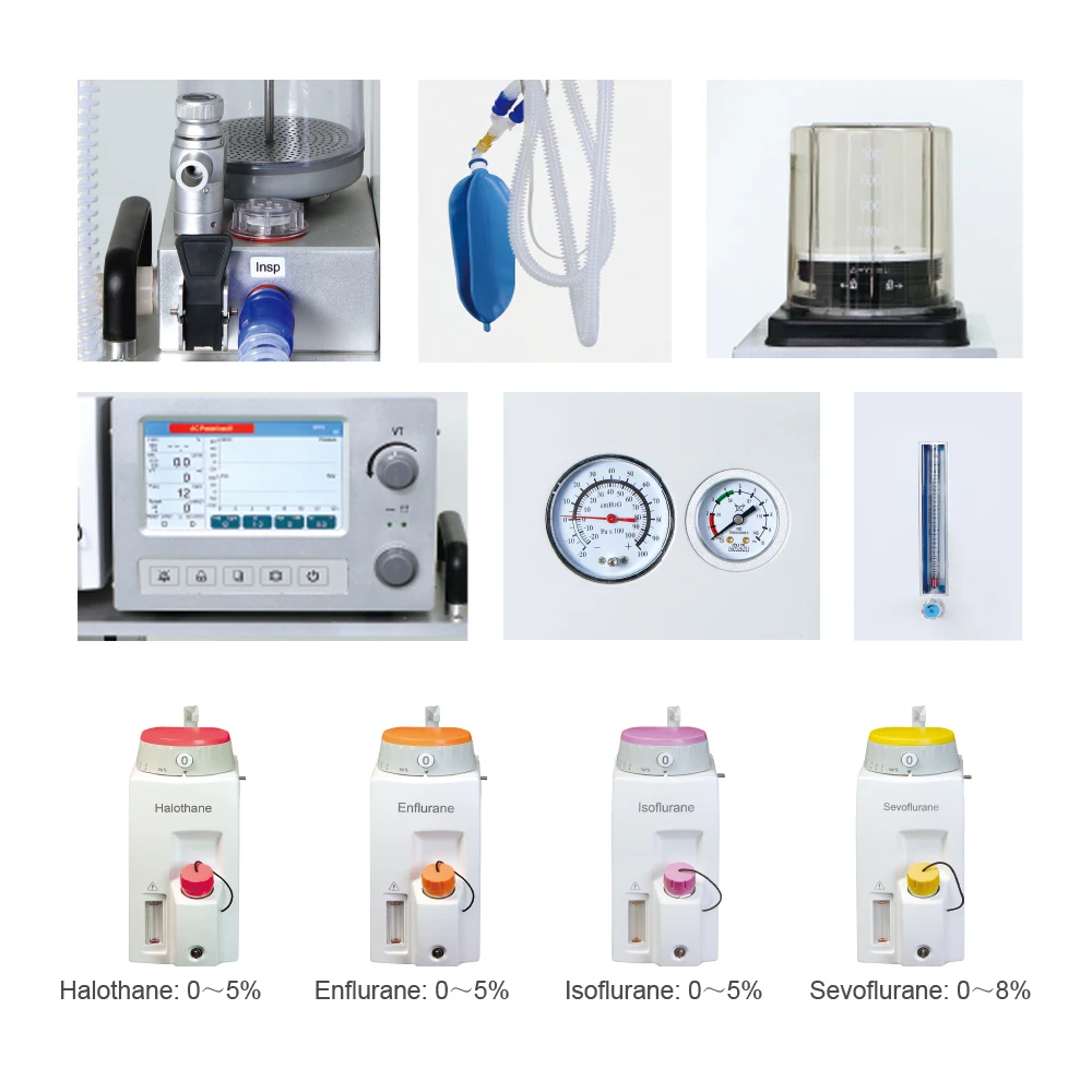 Anesthe Machine MRI Machines for Veterinary