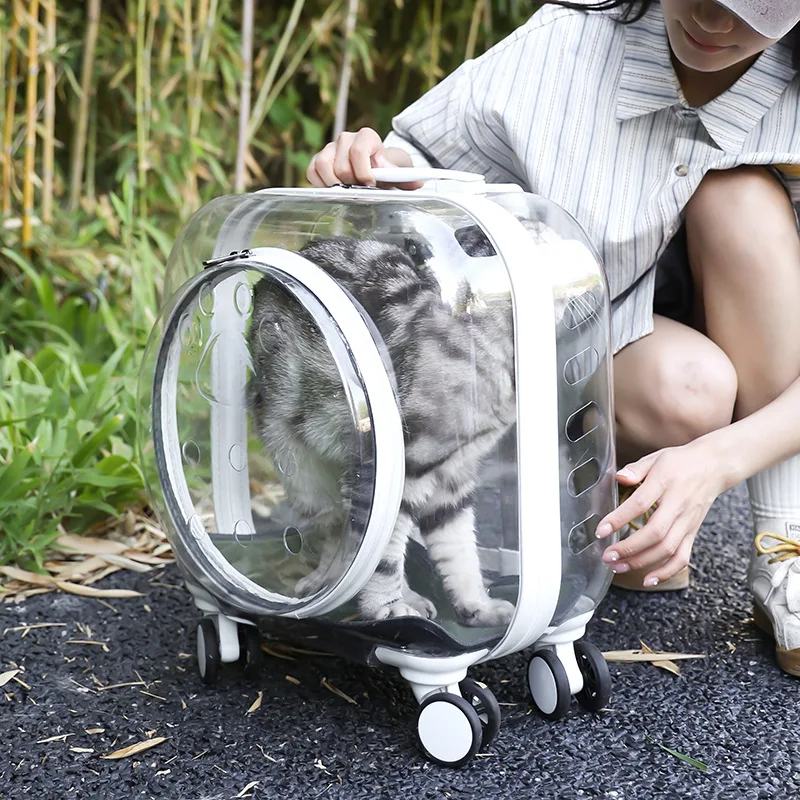 

Transparent Pet Stroller with Wheels Lightweight Cat Carriers Breathable Space Capsule for Small Cats and Dogs Rolling Pet Cage