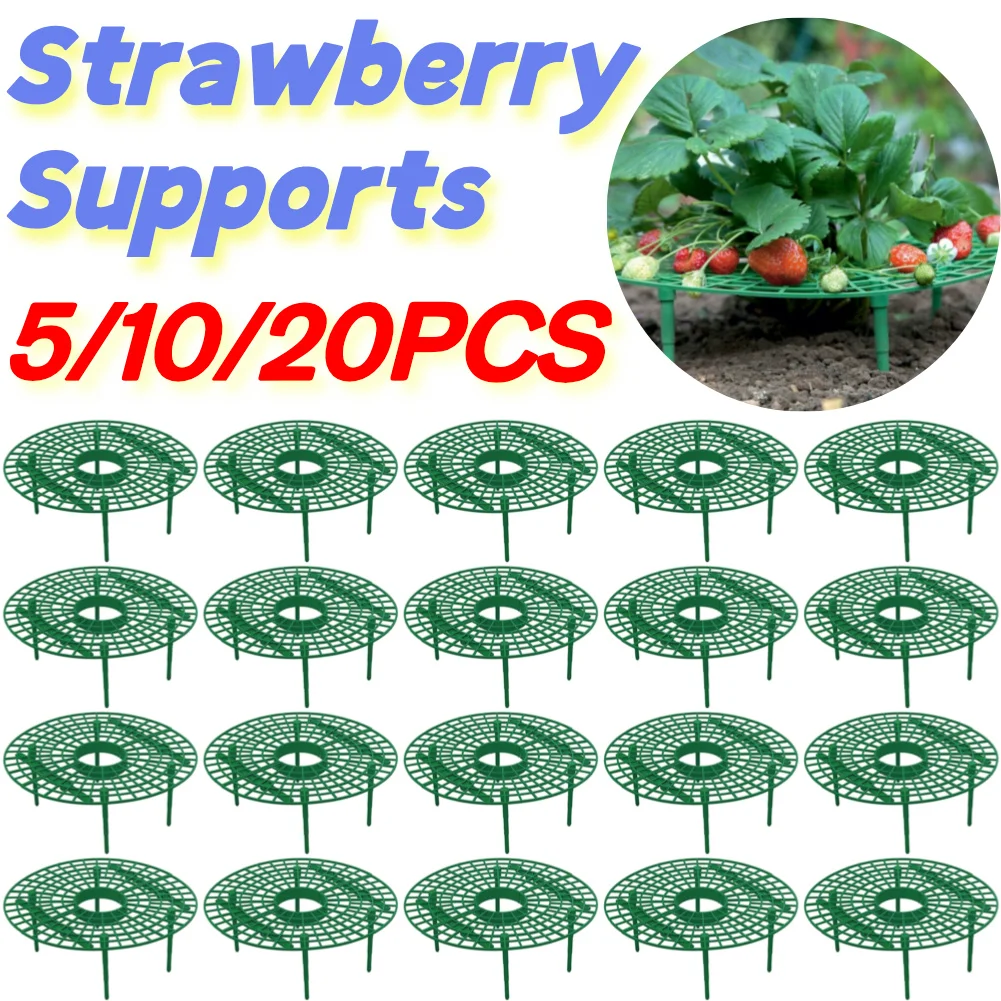 

5-20PCS Strawberry Supports Keep Berries Clean Keeping Plant Fruit Stand Strawberry Growing Frame for Protecting Strawberries