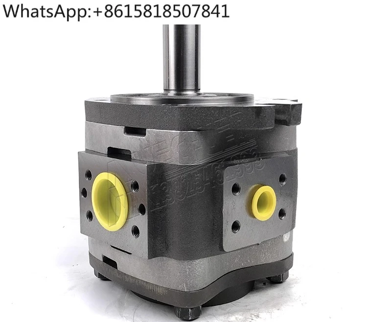 

Gear Pump IPVP5-50/64-101/IPS6-80/125-101 Hydraulic Pump Oil Pump