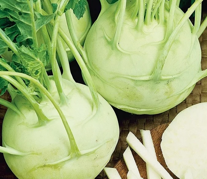 Seeds of Kohlrabi Delikates White 2g more than 700 seeds