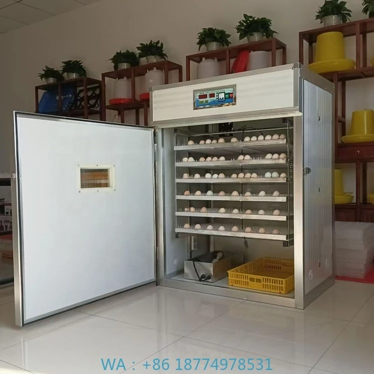 056 Eggs Solar Energy Egg Hatchery Machine High Quality All AutomaticFactory  Price Solar Powered Incubators Farming Hatching 1