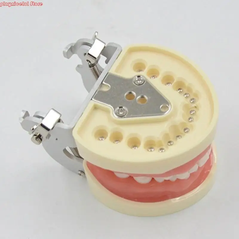 E8BA AMOVIBLE DÉTES DÉTRES AVEC