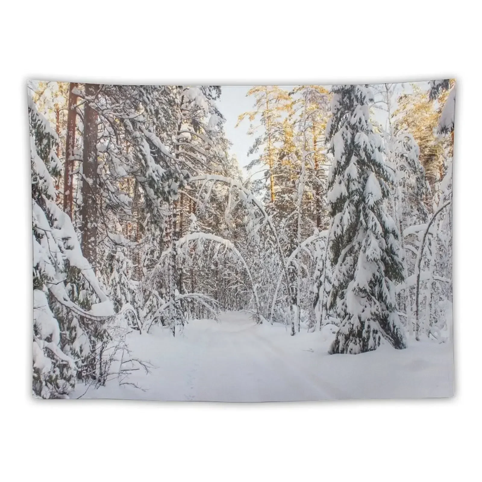 

Magic archway in winter Tapestry Decoration For Bedroom Room Decor For Girls On The Wall Aesthetic Room Decorations Tapestry