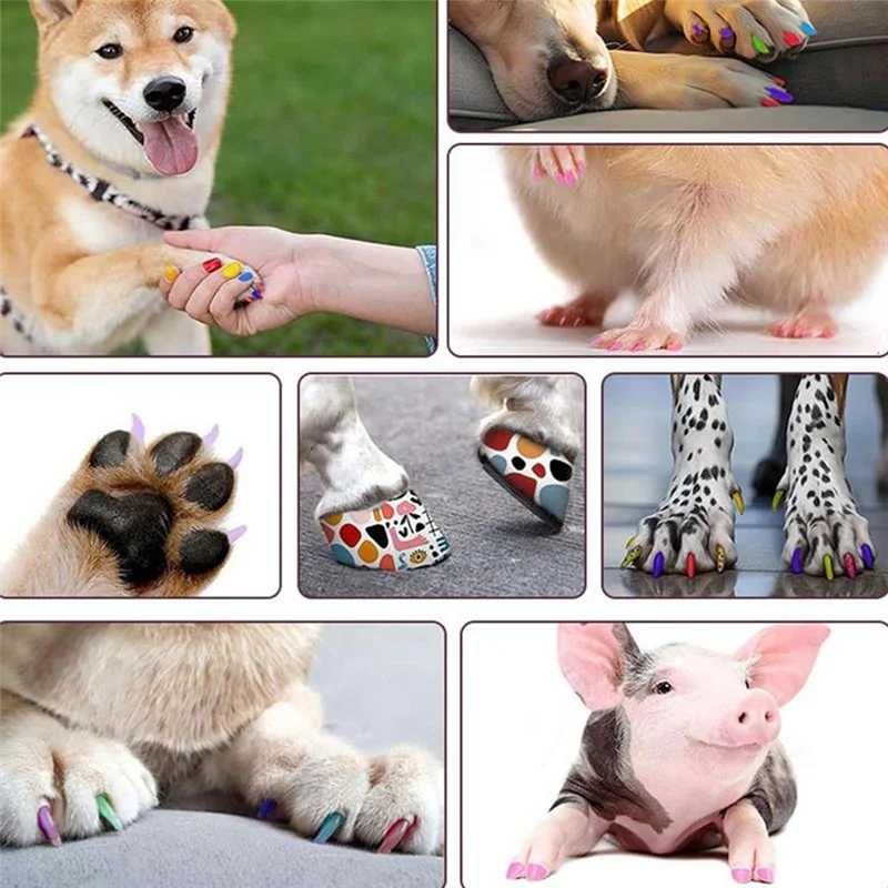 

-A94Z Pet Nail Polish For Cats Fast Drying Multipurpose Nail Polish 12 Colors Friendly Nail Polish Set Cat Nail Polish Set