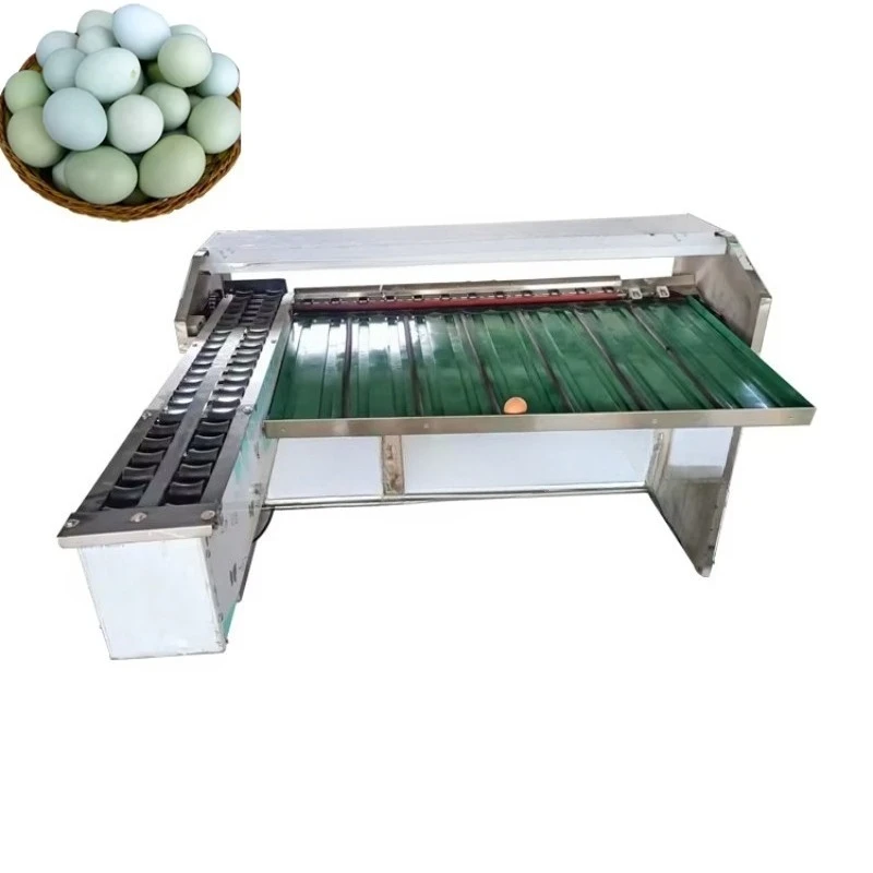 Egg Sorting Machine Stainless Steel Egg Sorting and Grading Machine Chicken Egg Grader Machine