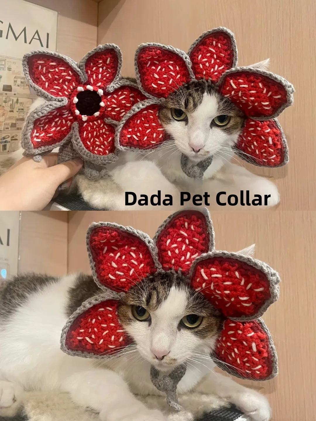 kit-de-material-diy-para-coleira-de-croche-artesanal-para-gatos-e-caes-presente-tematico-stranger-things-acorios-para-pe