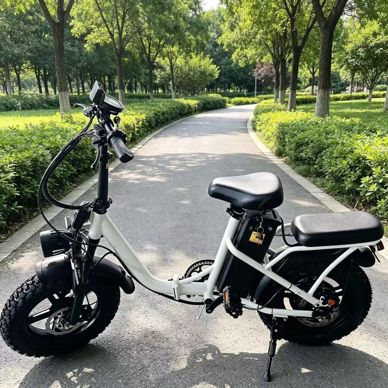 X6 800W Foldable Electric Bike 48V 30Ah Lithium Battery 20×3.75 Fat Tires Dual Disc Brakes Off-Road E-Bike for Adults