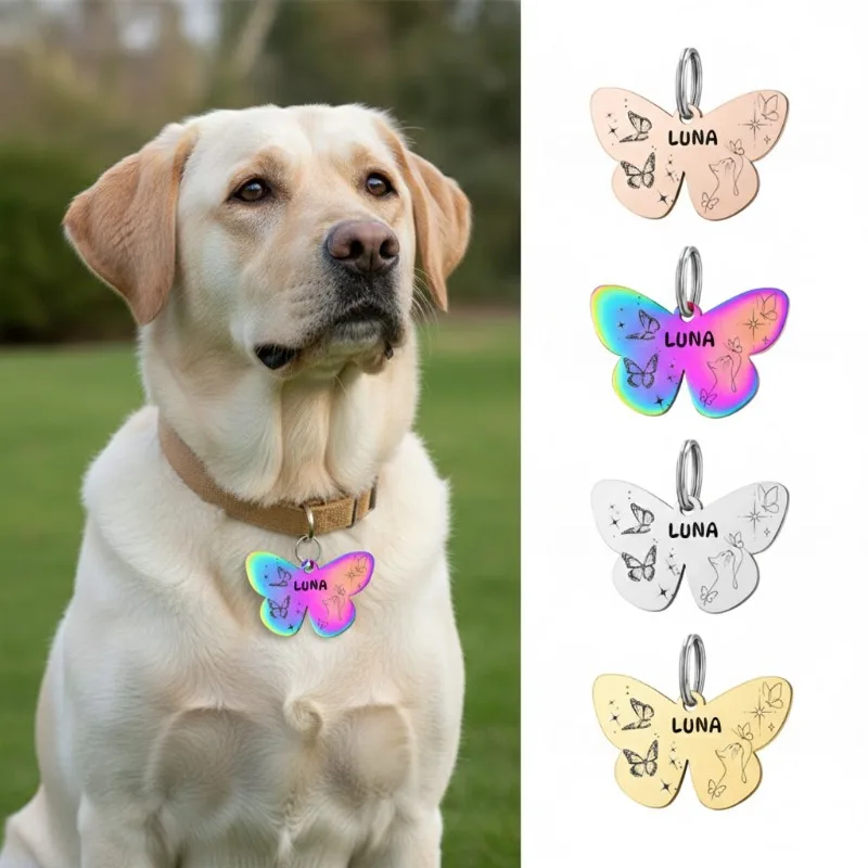 Porte-clés personnalisé en acier inoxydable avec pendentif papillon pour animaux de compagnie, étiquette d'identification personnalisée pour chien, chat, chaton, chiot, accessoires de logo DIY