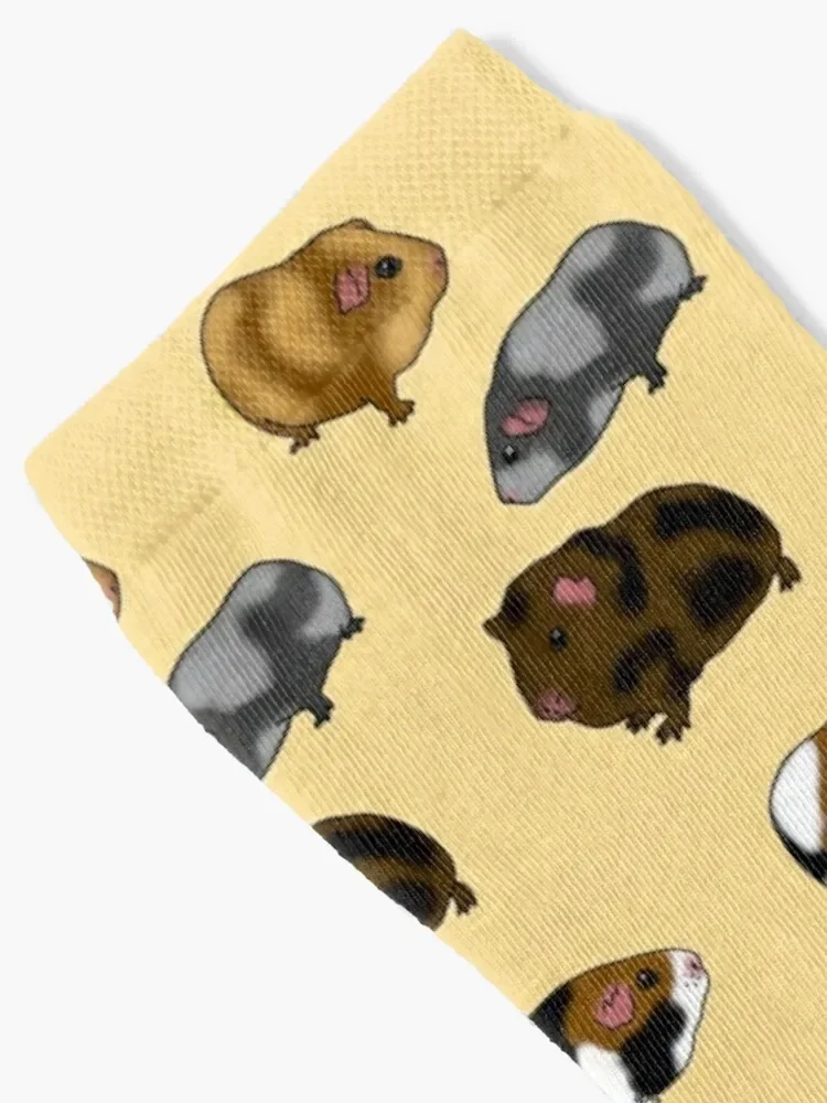 Guinea Pig Socks Sports hiking Socks Women Men's