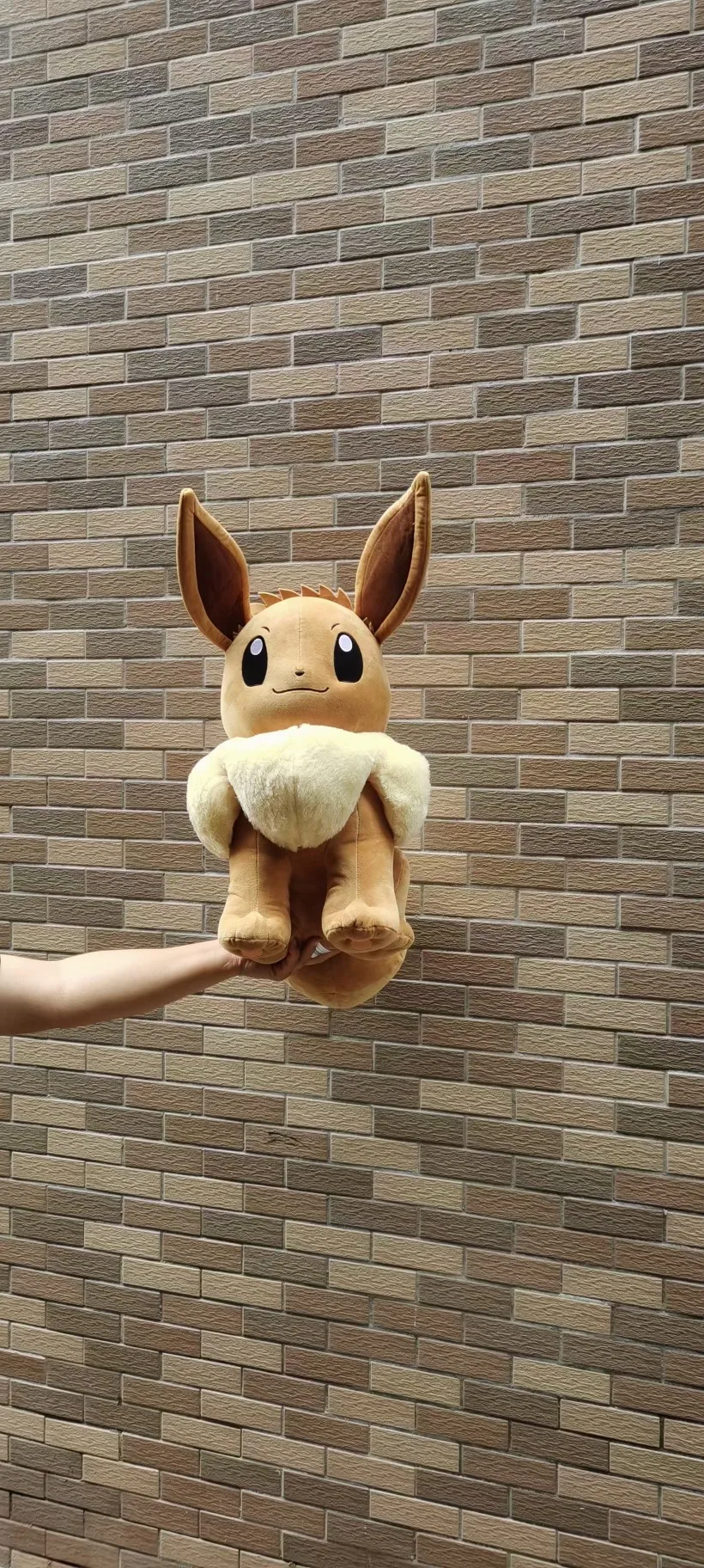 Original Japanese anime Pokemon 60cm  large sitting Eevee Plush toys dolls Children\'s birthday Presents