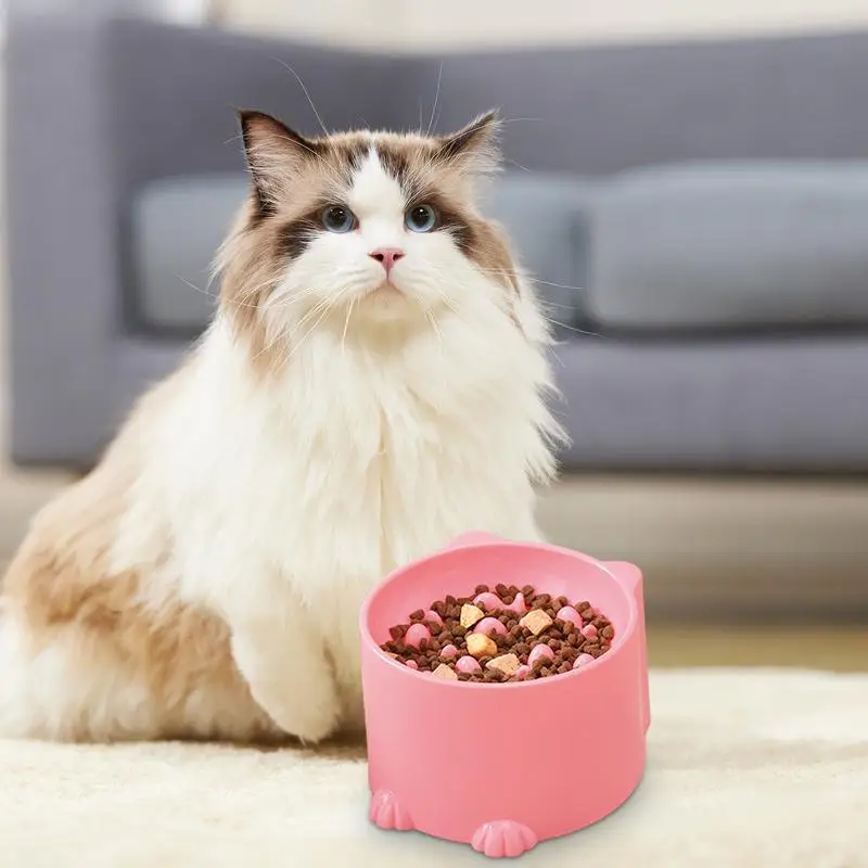 Elevated Cat Bowl Anti Vomit Water Dish Feeder Slow Eating 3PCS Spill-Proof Cat Bowl Elevated Smooth And Safe Cat Supplies For