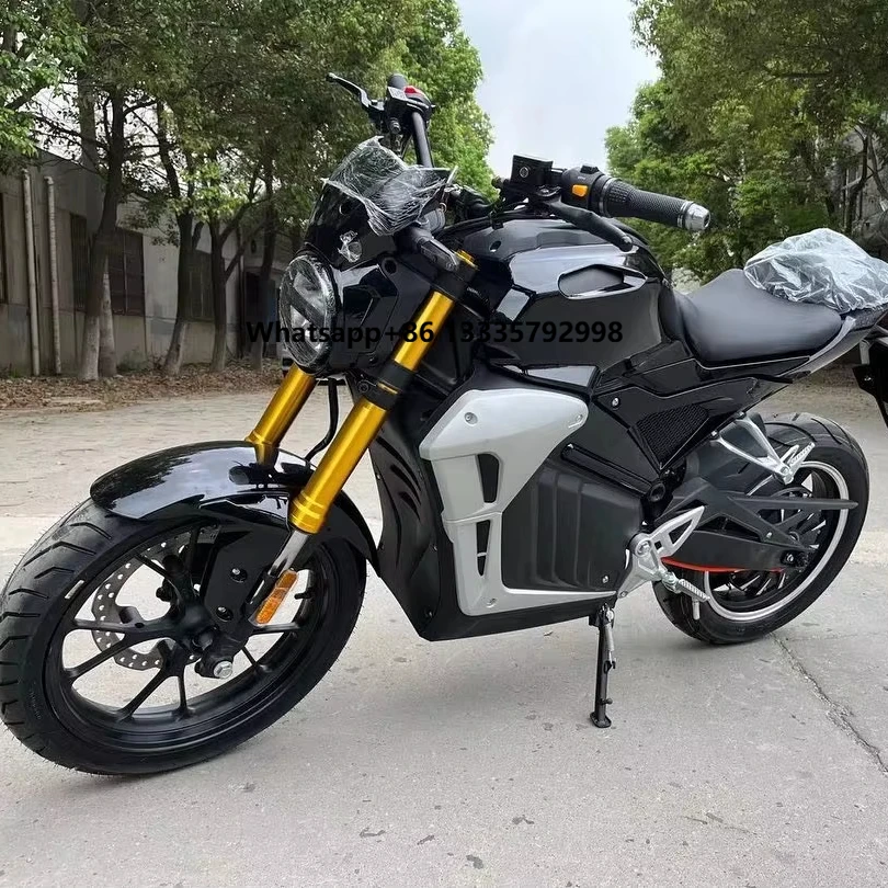 

New Arrival High Quality 17 Inch V8 Racing Electric Motorcycle 2000W 3000W Hub Motor Colorful Two-Wheel Scooter for Adults