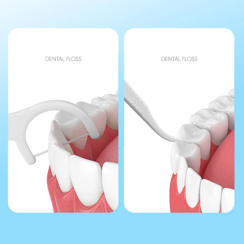 Juego de palillos de dientes de hilo Dental, cepillo Interdental, palillo de dientes portátil, limpiador de dientes con tubo de almacenamiento, 10 unids/lote por caja