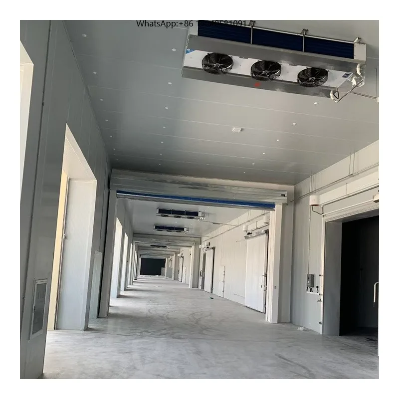 Small Medium Large Size Cold Storage Room Cool Refrigeration Freezer Room