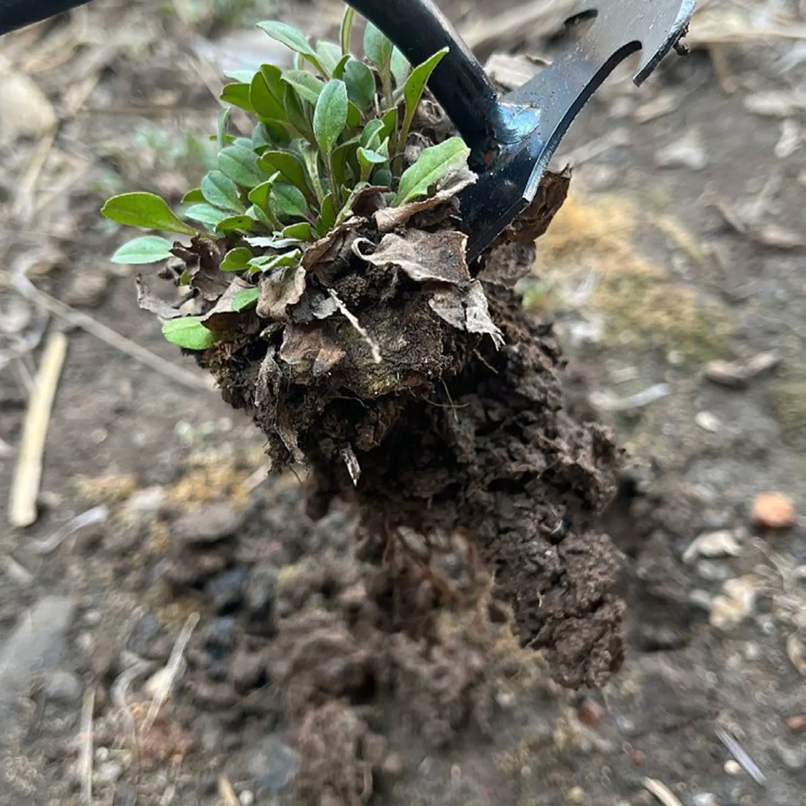 Strumento manuale per sarchiatrice da giardino strumento per sarchiatrice a manico lungo per piantare giardinaggio diserbo coltivazione di ortaggi allentamento aratura