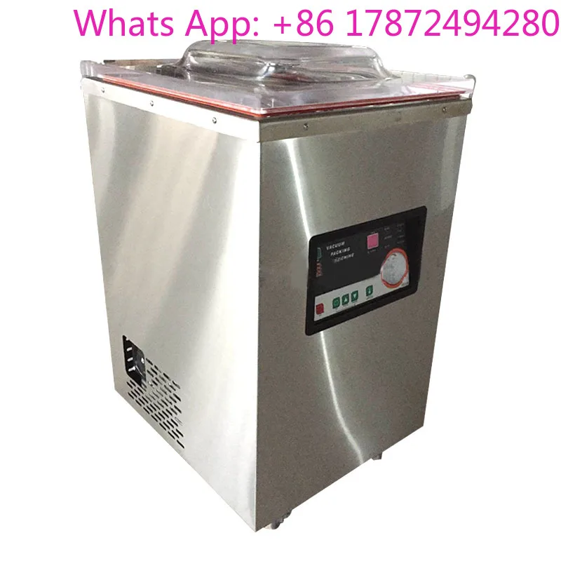 Vacuum Packaging Machine Food DZ-400/2E Machine Sealing Packaging Machine Cabinet Sealer 1PC