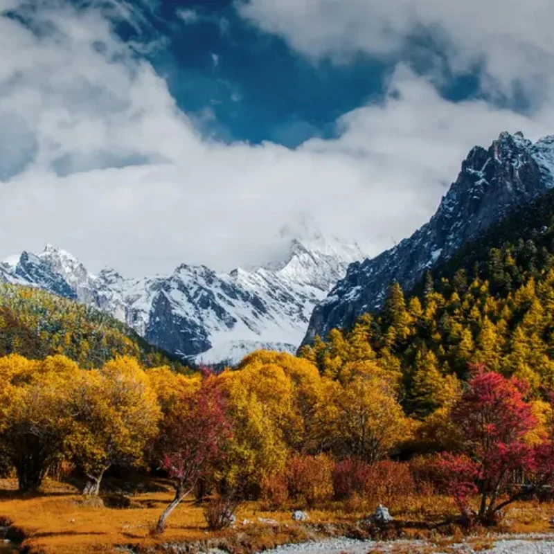 

Приемник Happymodel ExpressLRS ELRS EPW6 TCXO 2.4ГГц с PWM-сигналом, 6 каналов, для радиоуправляемых FPV дронов, квадрокоптеров, самолетов и DIY-проектов