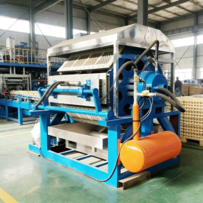 Custom Voltage Egg Tray Machine 1000pcs/h Easy Operation for Small Farm Use
