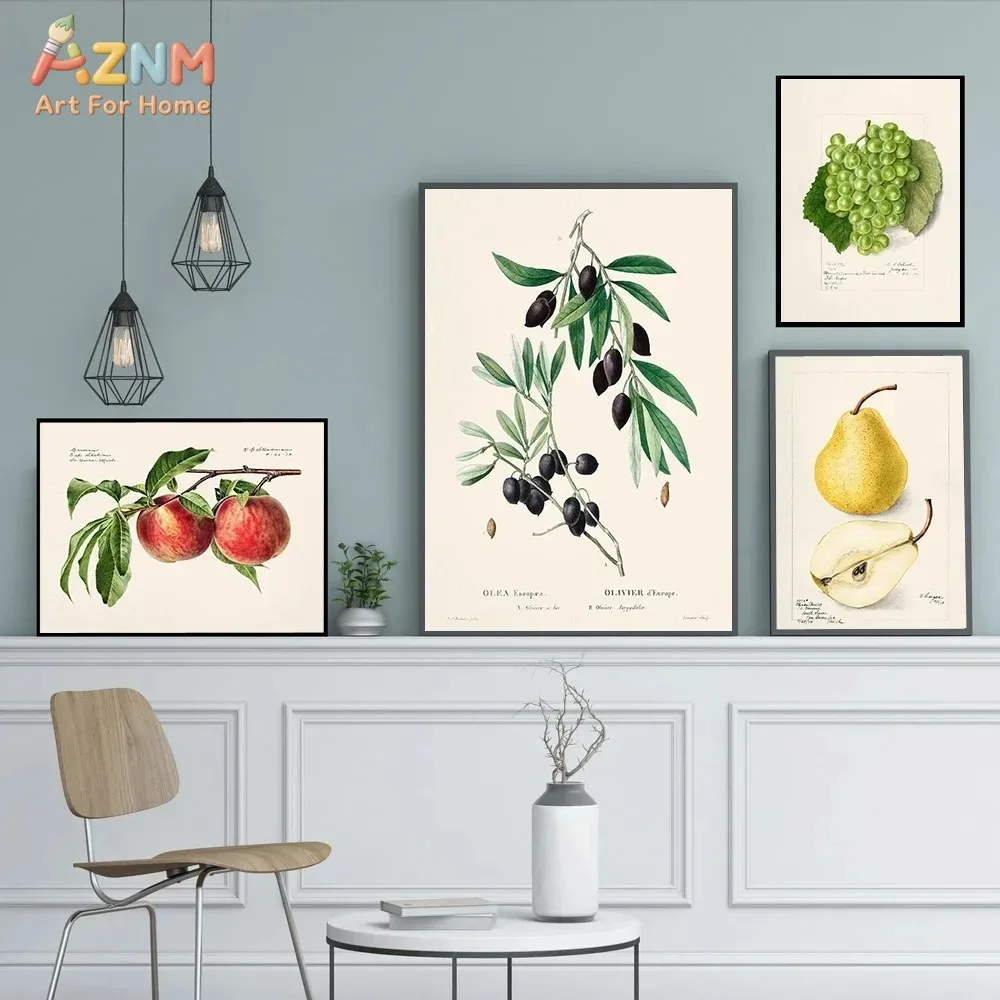 AZNM Vintage Botanical Fruit Canvas Wall Art, Grape Peach Pear Orange Raspberry Olive Watercolor Painting, Kitchen Farmhouse Hom