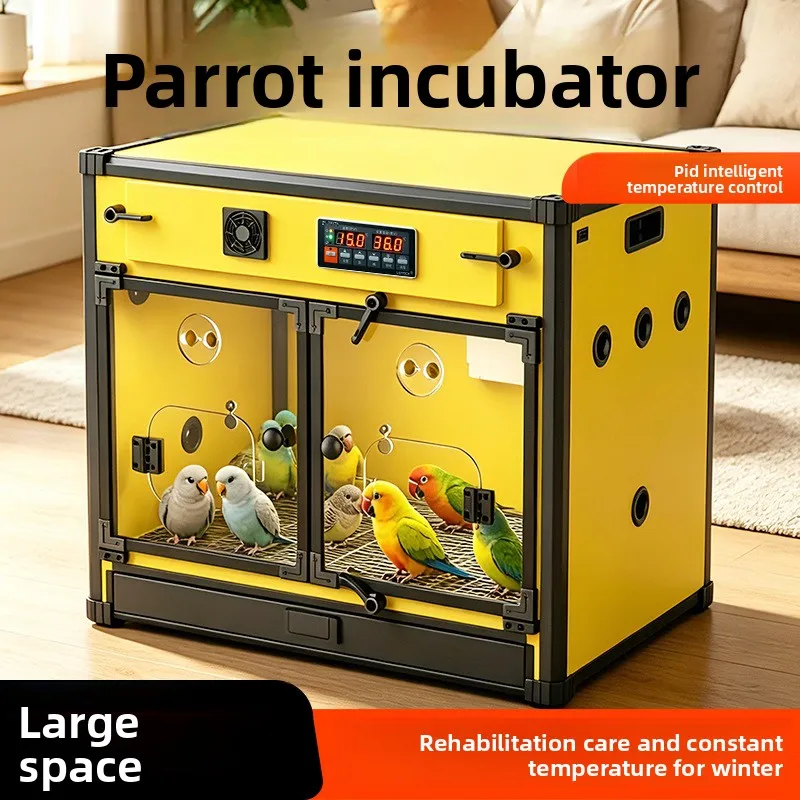 Parrot chick incubator pet air heating winter chick constant temperature incubator brooding Xuanfeng small sun brooding box