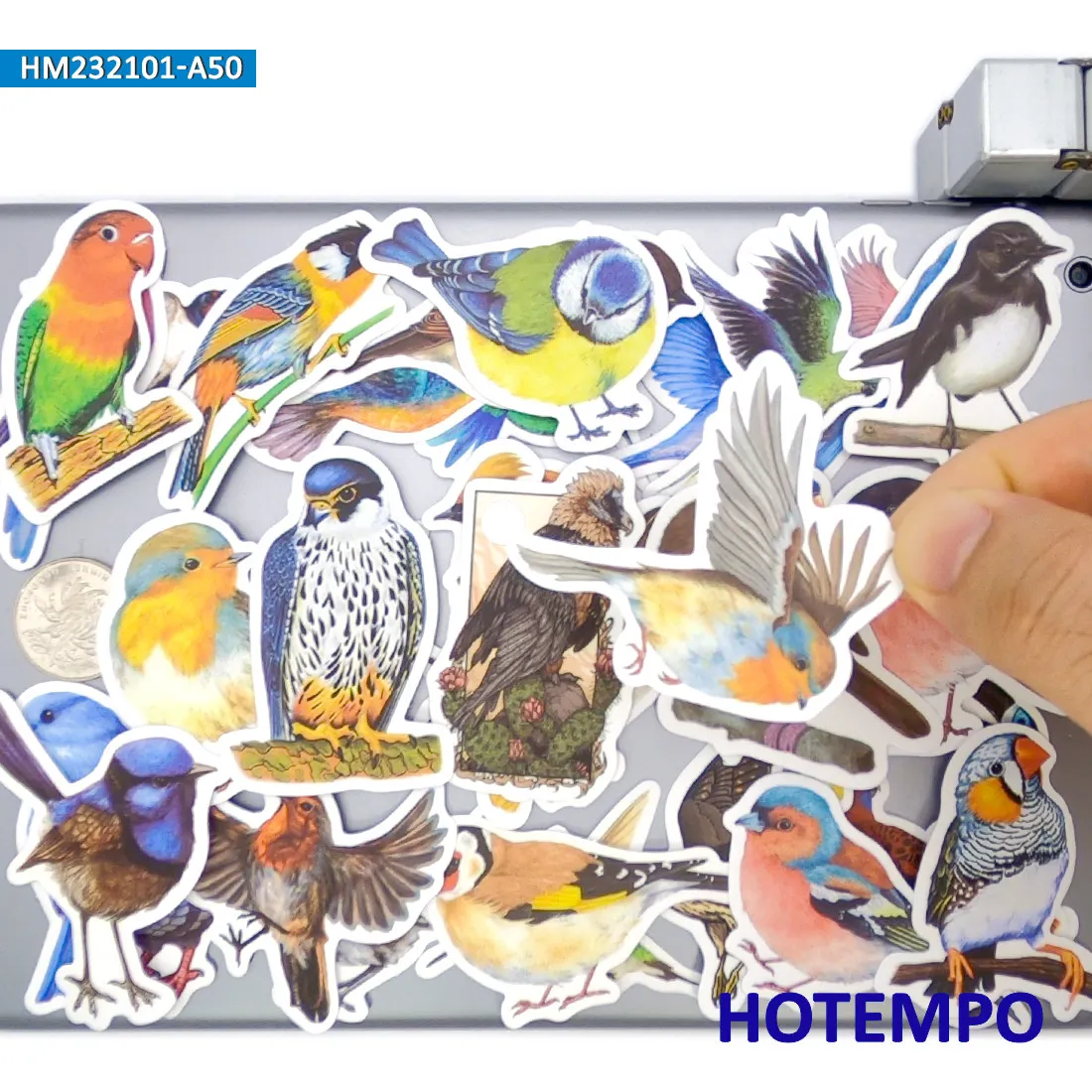 鳥のステッカーセット、水彩スタイル、かわいいカラフルな羽の動物、装飾、ノートパソコン、車、電話、バイク、スクラップブック、荷物に適しています、面白いステッカーパック、20/30/50枚