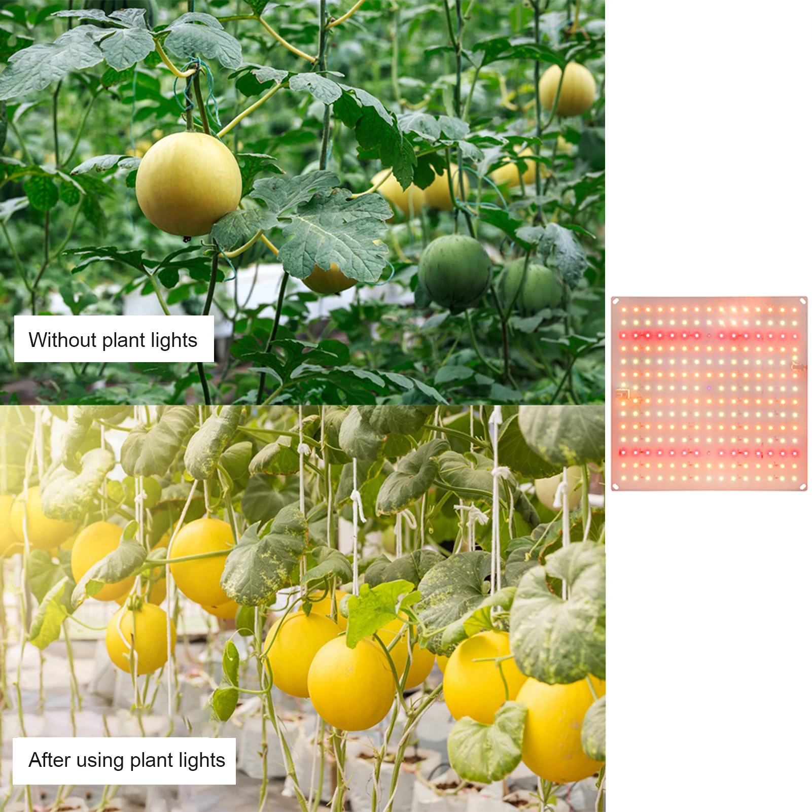 ضوء نمو النبات LED ضوء ملء عصاري الطيف الكامل نمو النبات ضوء IP20 تصنيف مقاومة للماء تصميم تبديد الحرارة #2