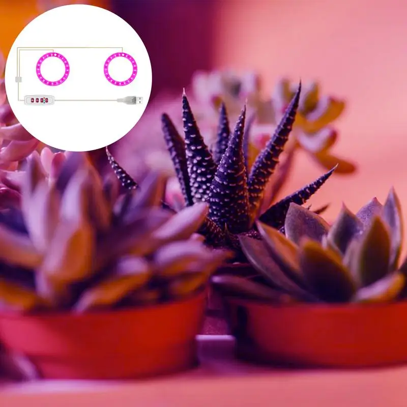 Luz de espectro completo para cultivo de plantas, lámpara redonda para plantas, bombillas LED para Rosas de eneldo verde, Cactus, Mini bonsái