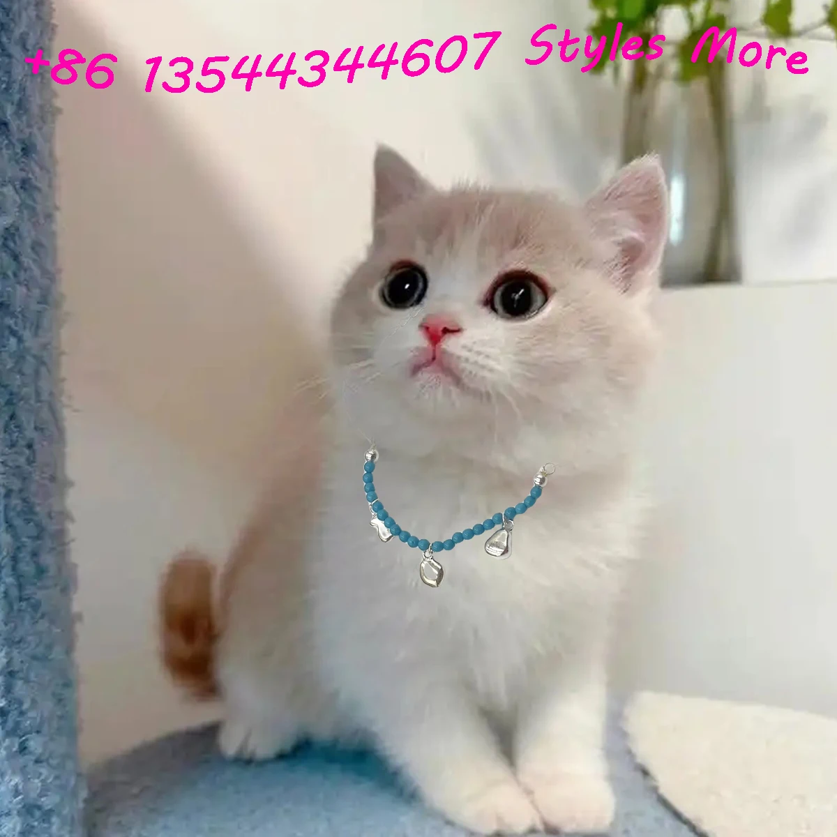 

2025 Hot Cat Accessories Spanish jewellery 18k gold-plated round bead chain fashion simple women's party accessory