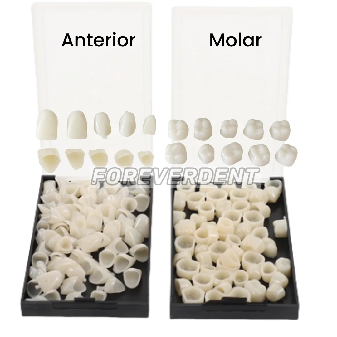 

Dental Temporary Crowns Crown Mold Guides Premolar Molar Anterior Cuspid Preformed Orthodontic