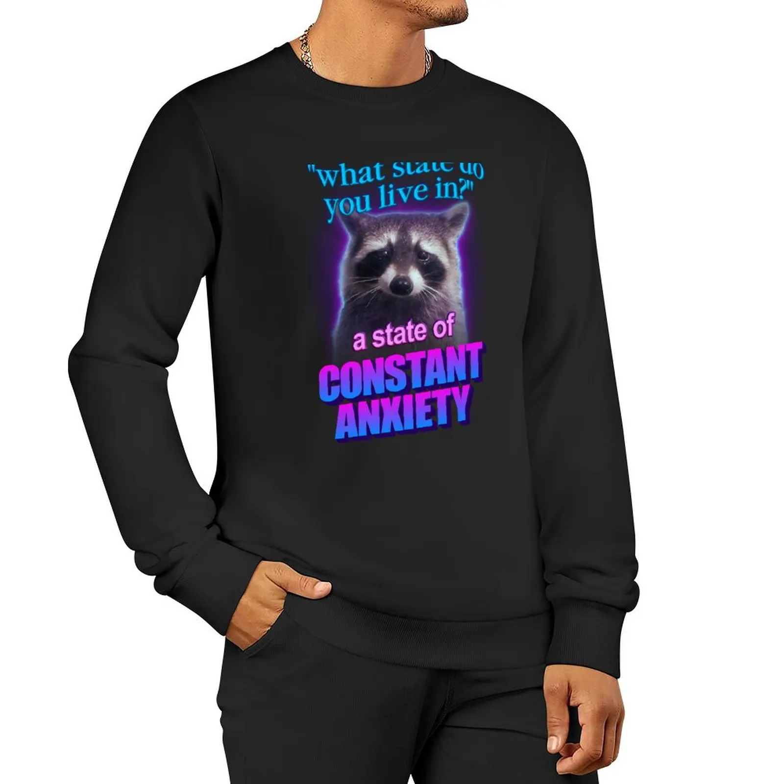 

What state do you live in a state of constant anxiety raccoon word art Sweatshirt tracksuit oversize sweatshirts