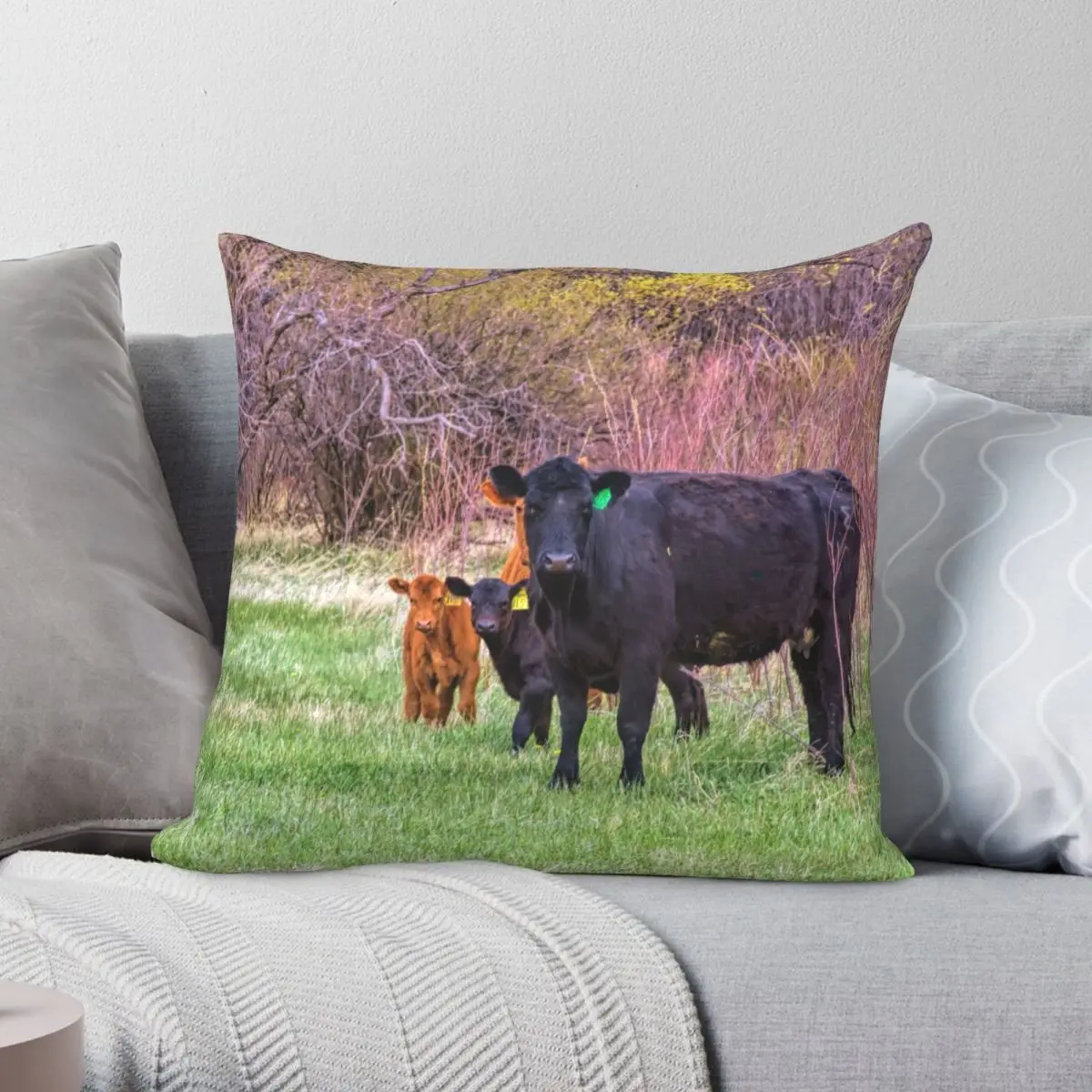 

Who What Square Pillowcase Polyester Linen Velvet Creative Zip Decor Home Cushion Cover