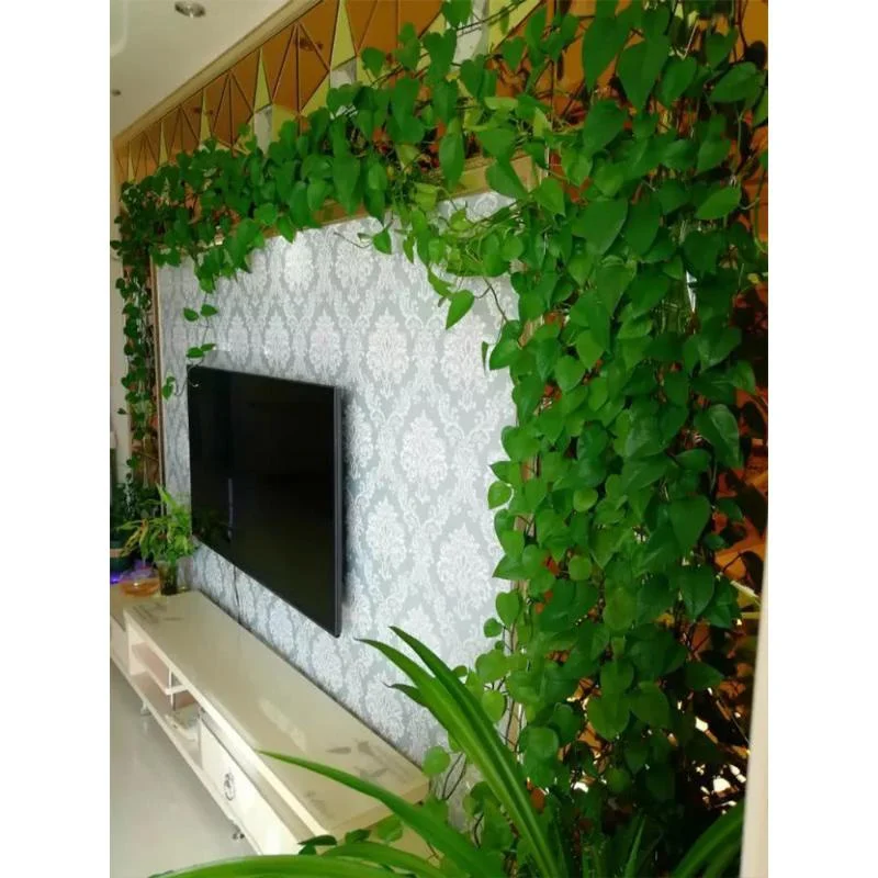 50Pcs Climbing Plant Wall Clip Rattan Buckle Hook Rattan Strip Clip Self-adhesive Fixator Plant Support Invisible Support