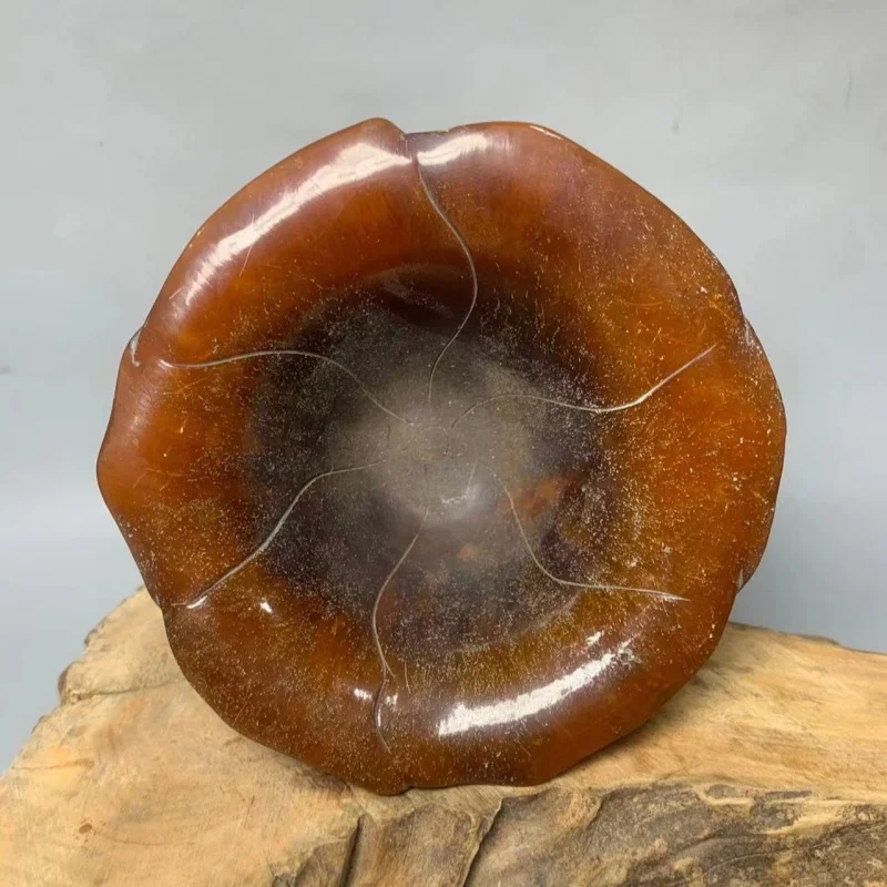 Tibetan Vintage Natural Horn Wine Cup - Plum Blossom Relief Carved Horn Bowl, Chinese Antique Collection Drinking Vessel