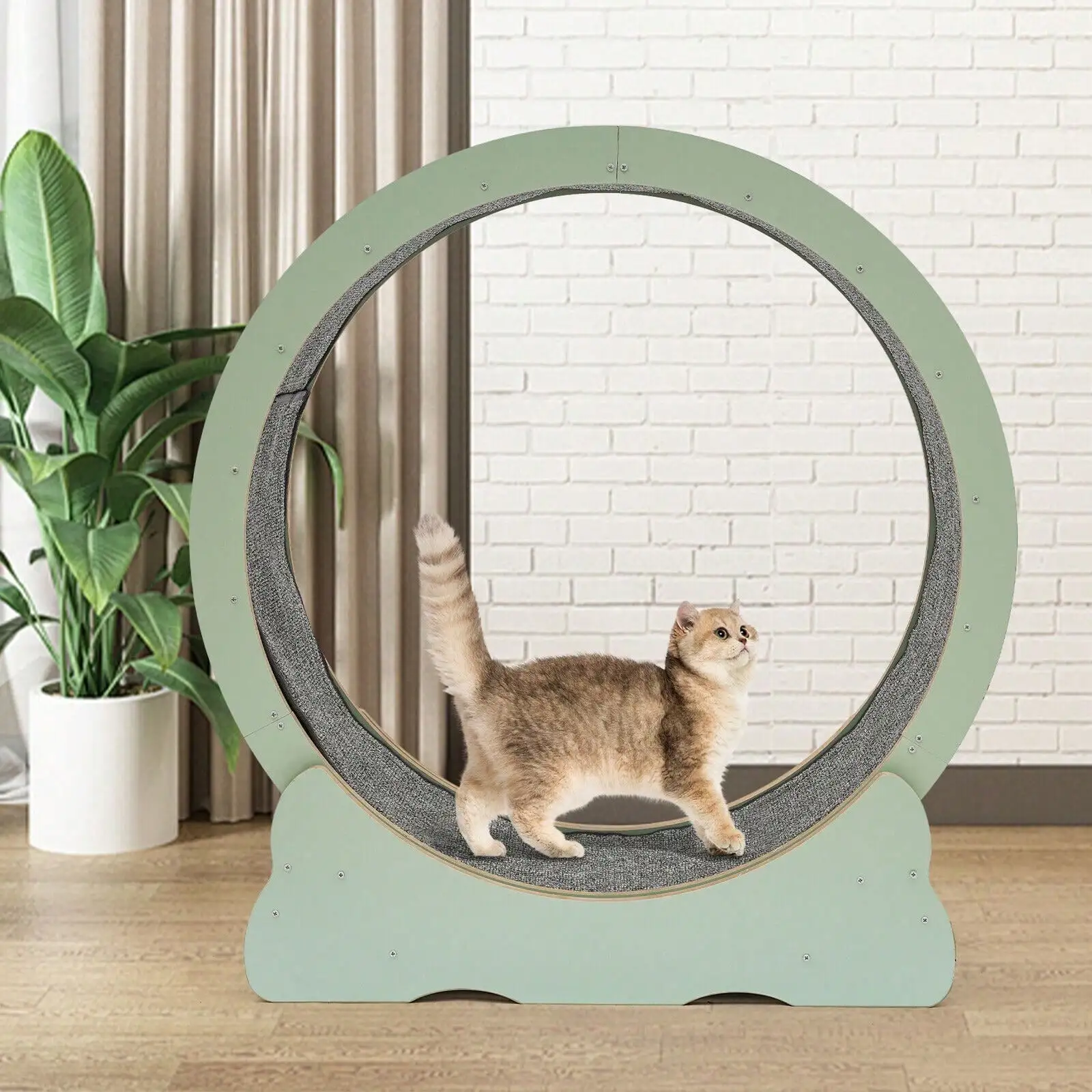 Ubfhonsi Cat Running Wheel Cat Exercise Wheel Treadmill Cat Sport Toy Fitness Weight Loss