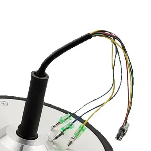 Roda de Motor de 6,5 Polegadas 36V 350W com Pneu para Hoverboard Autobalanceado - Peça de Reposição Completa para Reparo