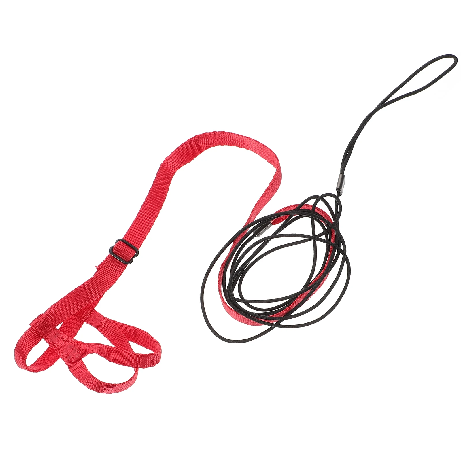 

Practical Parrot Leash Durable Adjustable Harness for Most Birds Easy to Use Training Collars Pet Bird Cage Accessories